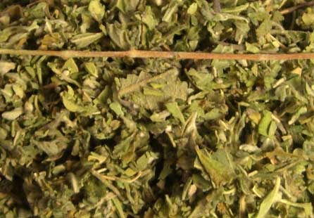 American Bulk Herbs Organic Damiana Conventional