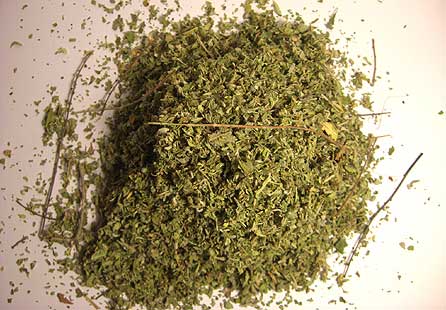 American Bulk Herbs Organic Damiana Conventional