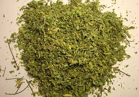 American Bulk Herbs Organic Damiana